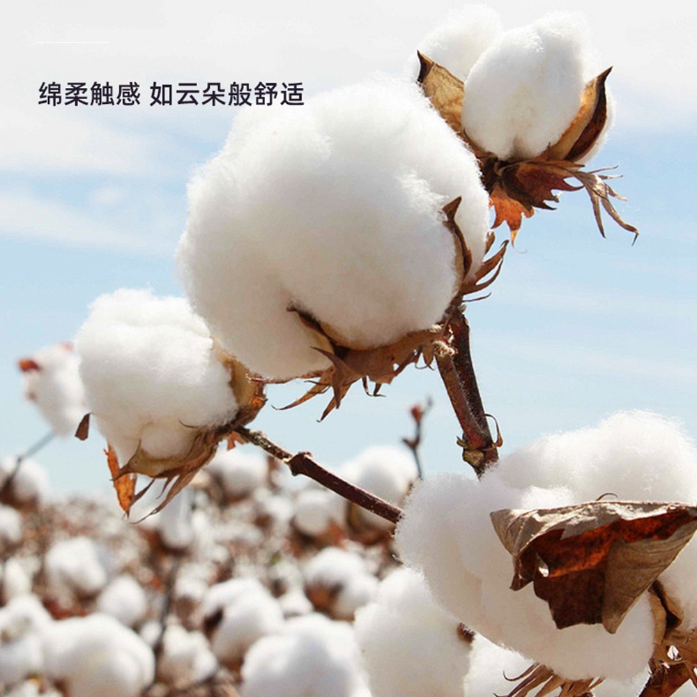 ไส้เทียนทำจากฝ้ายออร์แกนิคหุ้ม - Cotton Wick Organic บทวิจารณ์และราคา